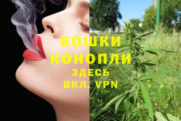 скорость Ладушкин