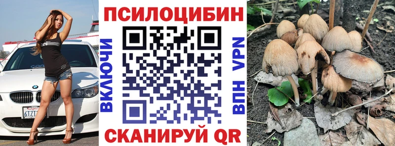 Галлюциногенные грибы GOLDEN TEACHER  закладки  Бирюсинск 