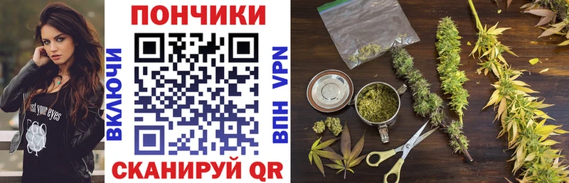 Бошки марихуана сатива  сколько стоит  Бирюсинск 